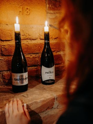 🍇 Novinky na e-shopu! 🍷 Do nabídky právě dorazila Pálava 2024, Sylvánské zelené 2024 a Ryzlink vlašský 2024. Pokud se...